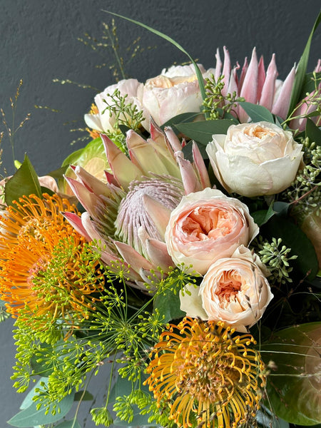 Suratdagi pissi Suratdagi pissi